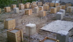 Элвис с гаражом (1)