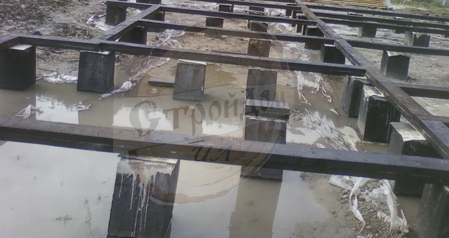 Элвис с гаражом (2)