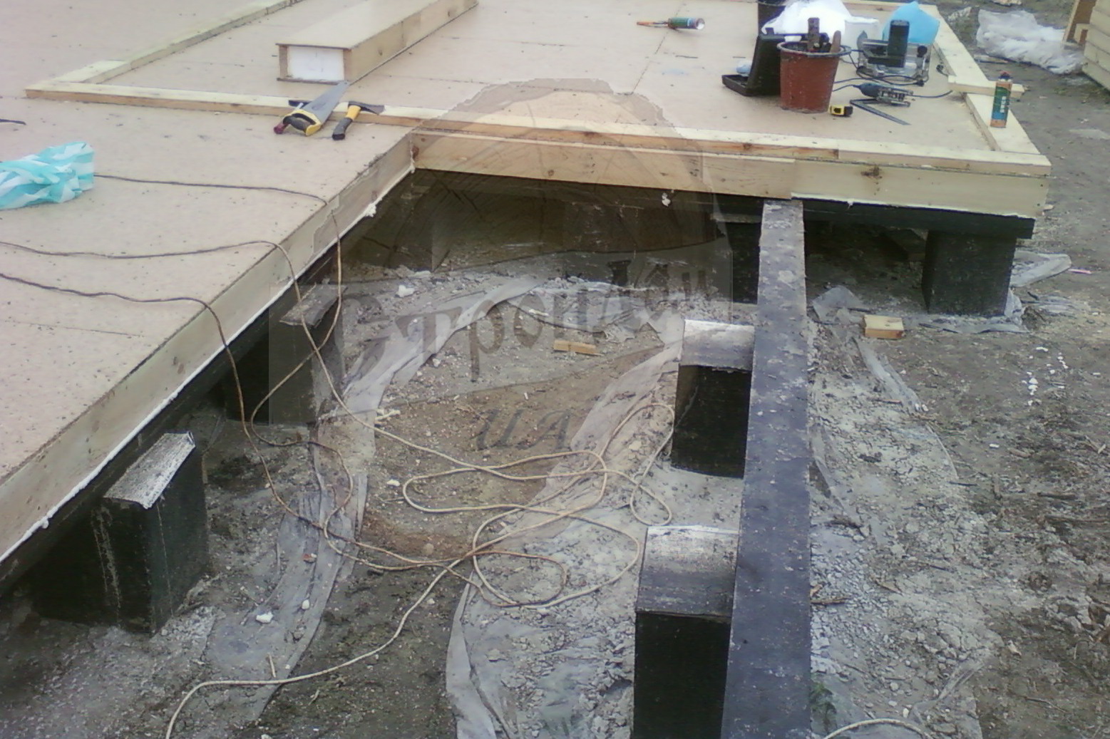 Элвис с гаражом (3)