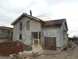 Элвис с гаражом (7)