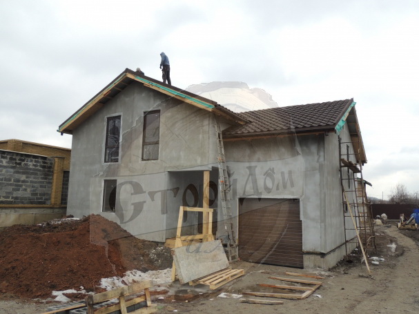 Элвис с гаражом (7)